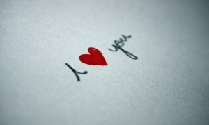  白鴿飲品十大名牌_白鴿飲品十大名牌是什么