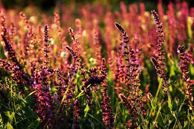 Baoli.寶力品牌_寶力牌子口碑_Baoli實力檔次排名