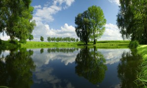 孕婦可以喝脫脂奶粉嗎？