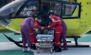 廣東一市民在公園突遭馬蜂圍襲，直升機救援10分鐘送醫！近期高發，緊急提醒→