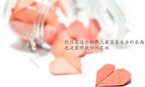 小橘子為啥這么多流量卡