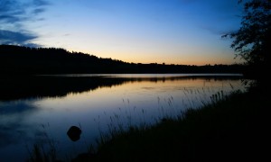 油菜十大高出油率品種排名_全國最高產(chǎn)的10種油菜盤點