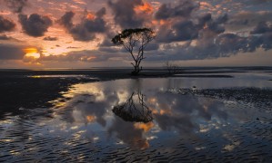 一歲多寶寶喝什么奶粉好？