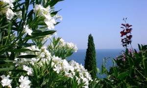 六個月的寶寶一天應該喝多少毫升奶粉？