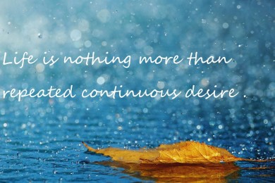 扮豬吃老虎的意思，它來自于三十六計中的計謀之一