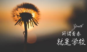 瑞典女杯:烏美亞女足vs尤爾加登女足賽前分析