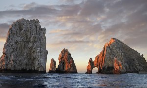 杞菊地黃丸十大品牌排行榜_杞菊地黃丸品牌排名_杞菊地黃丸品牌排行榜