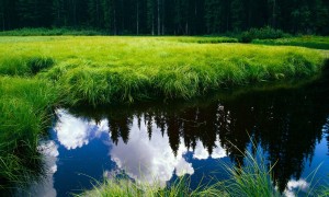 六個月寶寶不吃奶粉怎么辦？