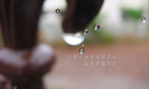 都勻市奉合村等行政村生活污水治理管控項目的更正公告