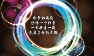 GEOCKO.壁虎品牌_壁虎牌子口碑_GEOCKO實力檔次排名