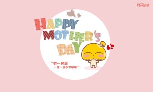 西安交通大學第二附屬醫院中央空調系統主機維保及管道清洗消毒項目中標公告