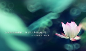 2025年合肥高新區(qū)社區(qū)工作者招聘公告