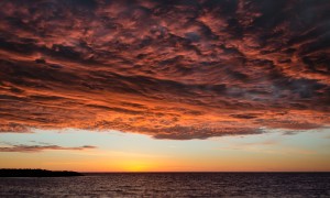 羊奶粉可以放冰箱嗎？