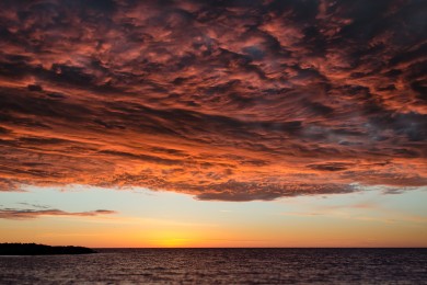 2025年飛機杯品牌大全